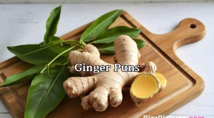 Ginger Puns Ginger Puns