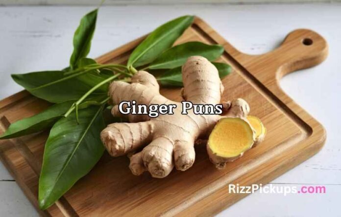 Ginger Puns