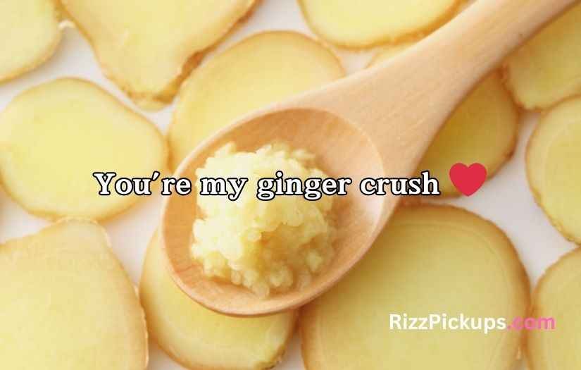Ginger Puns