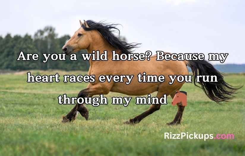 Horse Pick Up Lines