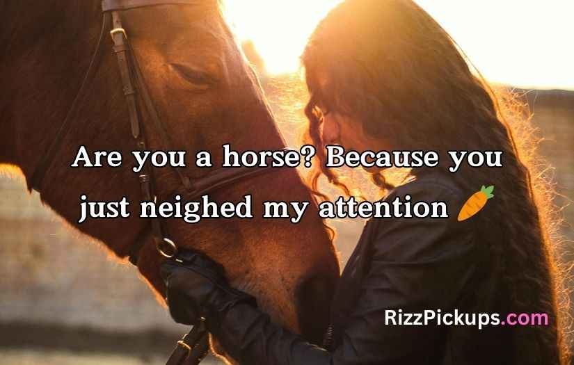 Horse Pick Up Lines