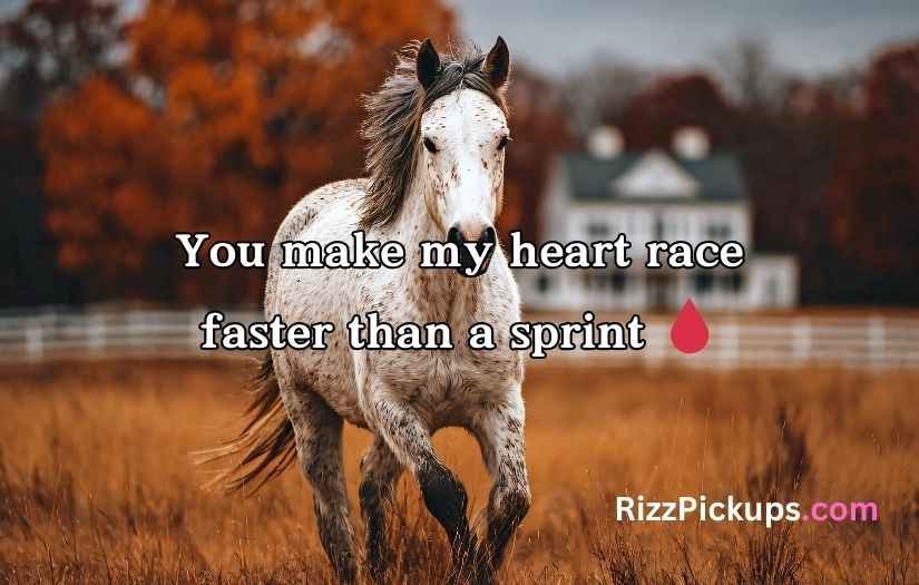 Horse Pick Up Lines