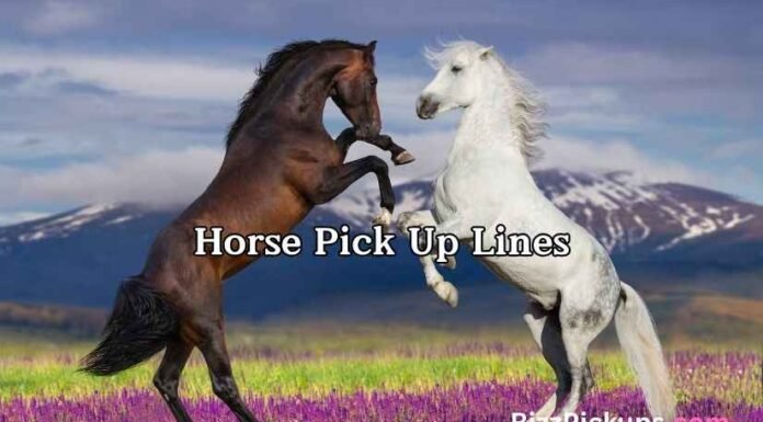 Horse Pick Up Lines Horse Pick Up Lines