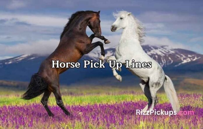 Horse Pick Up Lines Horse Pick Up Lines