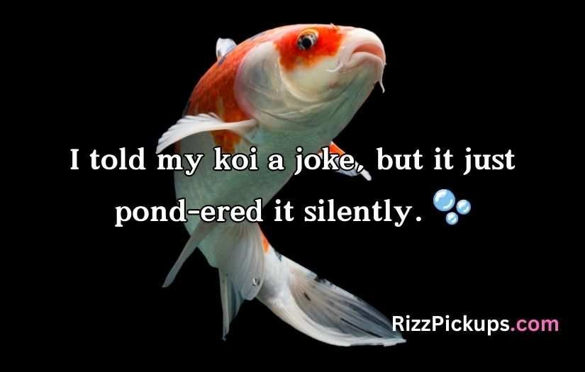 Koi Fish Puns and Jokes