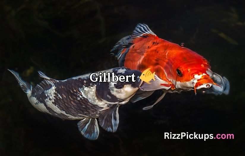 Koi Fish Puns and Jokes