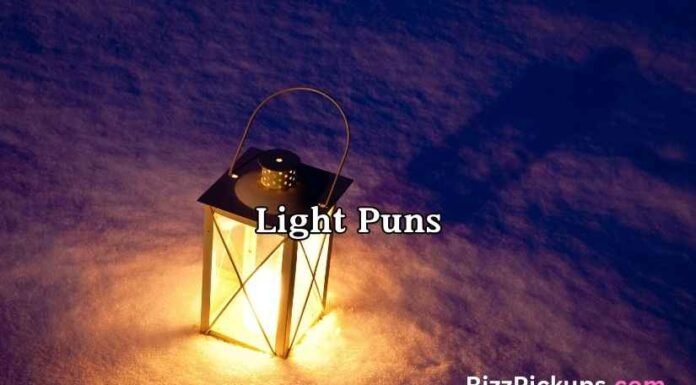 Light Puns Light Puns