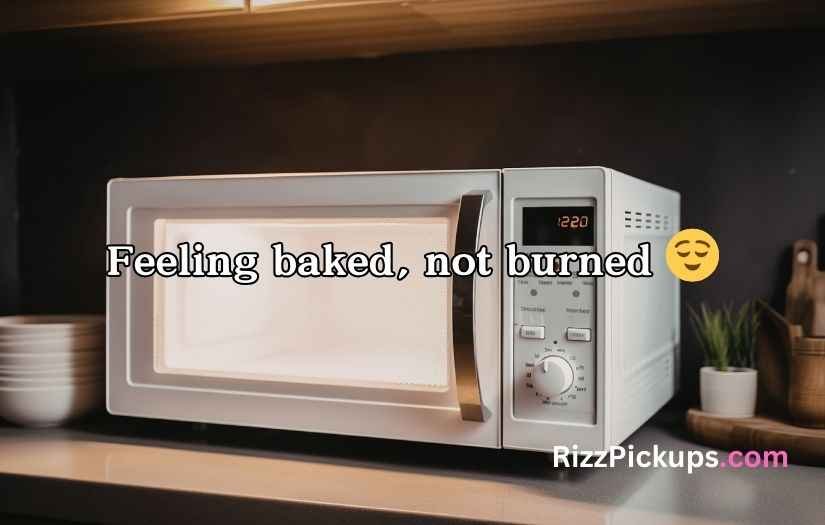 Oven Puns and Jokes