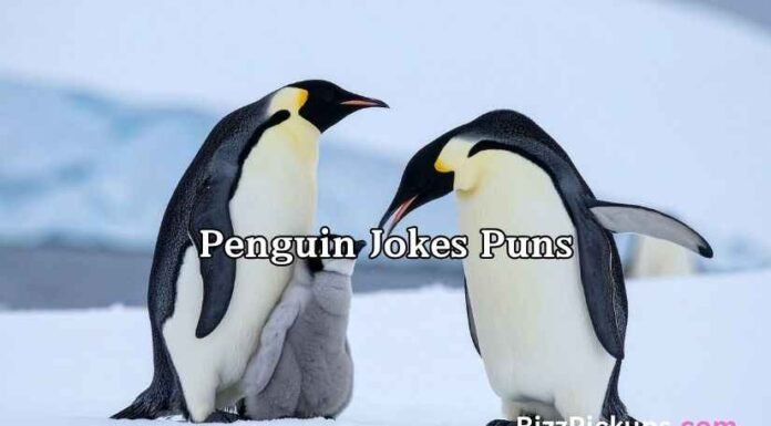 Penguin Jokes Puns Penguin Jokes Puns