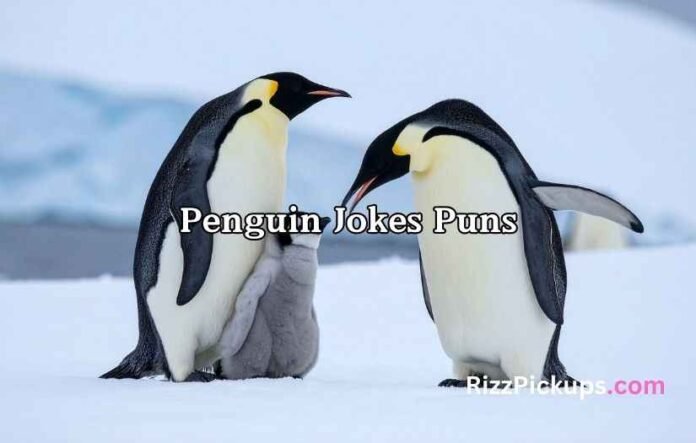 Penguin Jokes Puns
