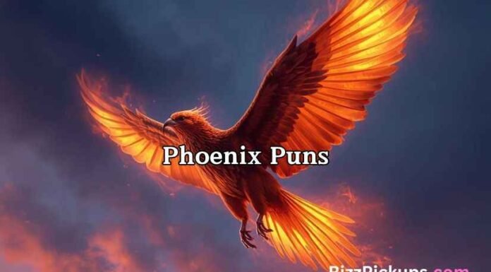 Phoenix Puns Phoenix Puns
