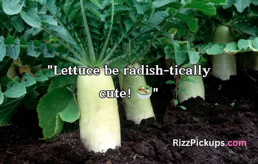 Radish Puns