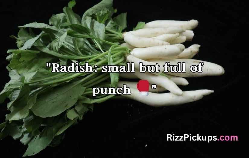 Radish Puns