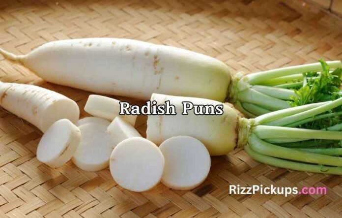 Radish Puns
