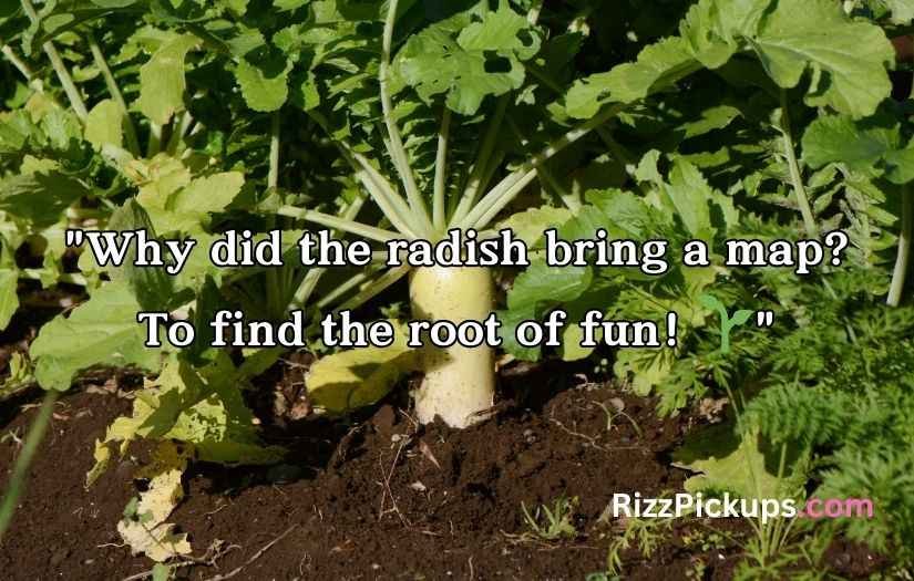 Radish Puns