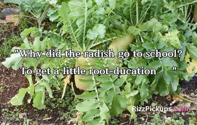 Radish Puns