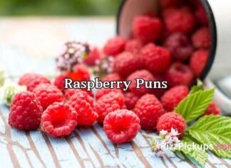 Raspberry Puns Raspberry Puns