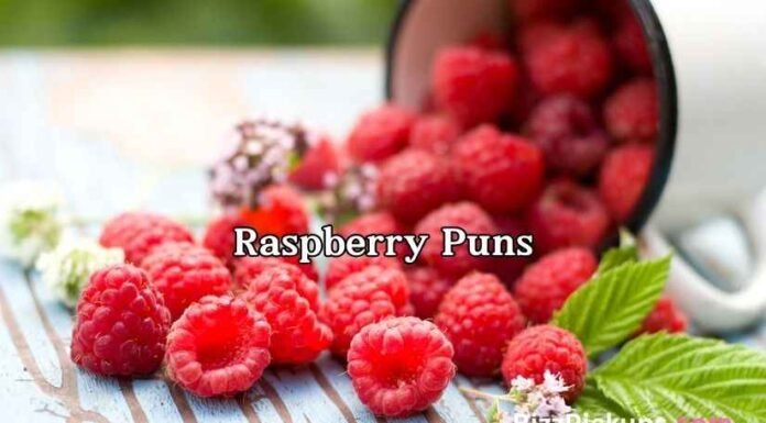 Raspberry Puns Raspberry Puns
