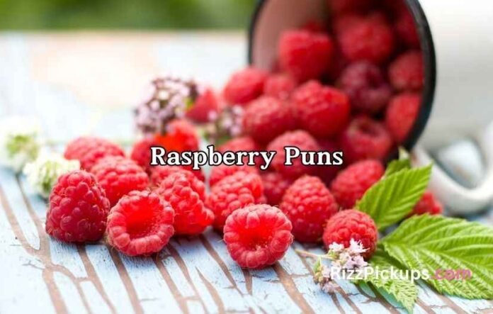 Raspberry Puns Raspberry Puns