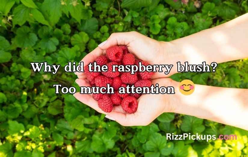 Raspberry Puns