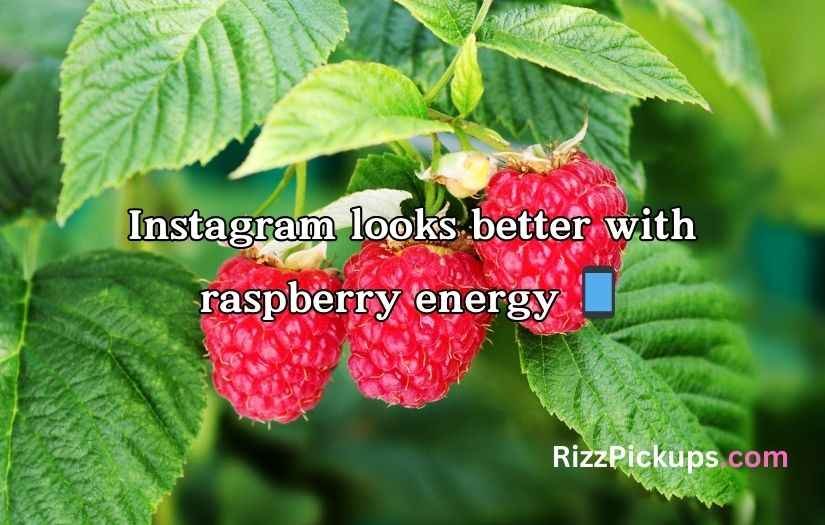 Raspberry Puns