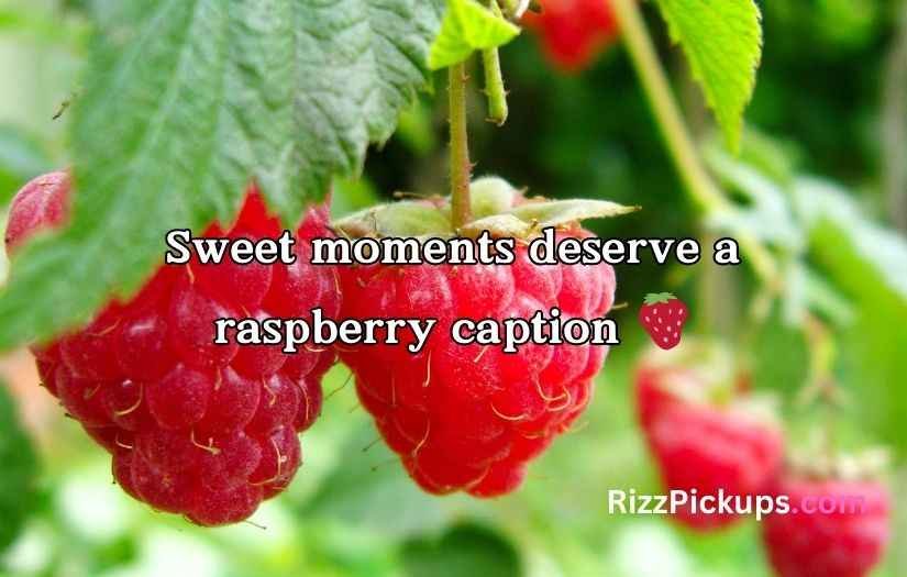 Raspberry Puns