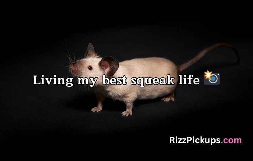 Rat Puns