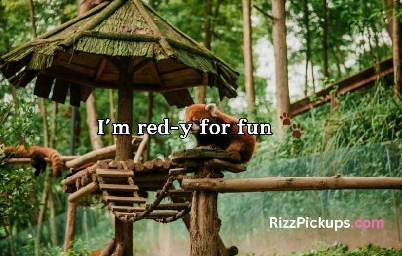 Red Panda Puns