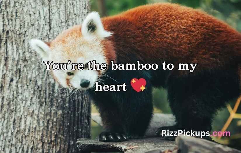 Red Panda Puns