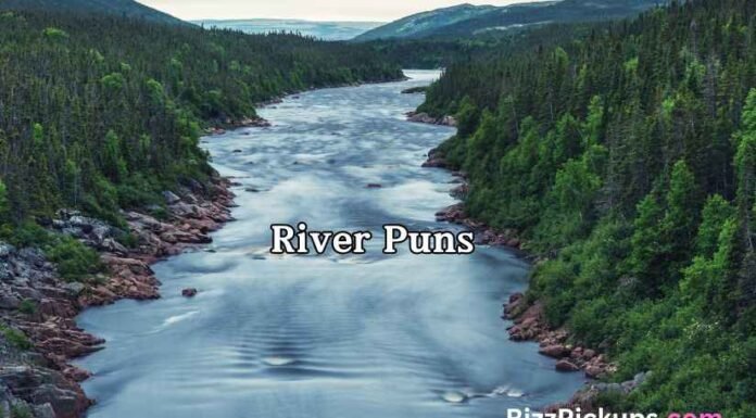 River PunsĀ River PunsĀ