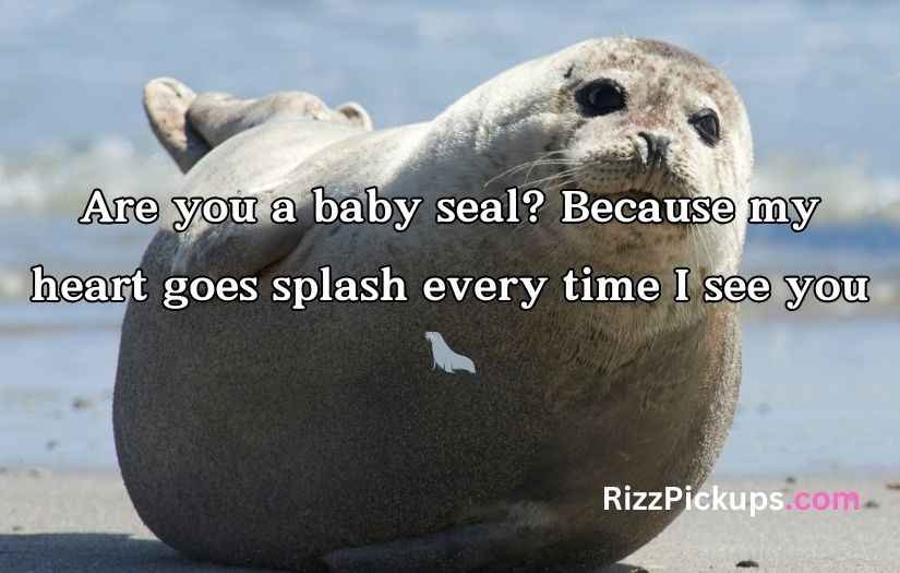 Seal Pickup Lines