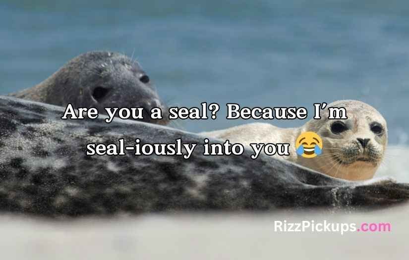 Seal Pickup Lines