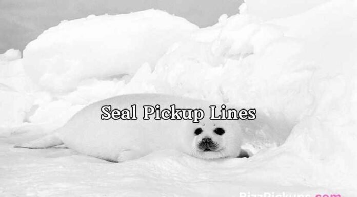 Seal Pickup Lines Seal Pickup Lines