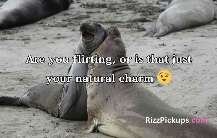 Seal Pickup Lines