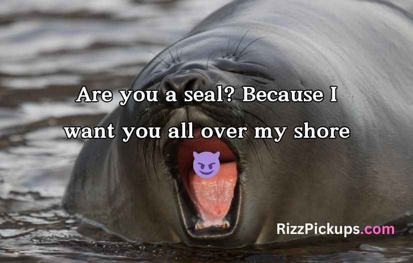 Seal Pickup Lines