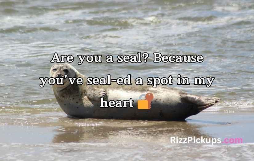 Seal Pickup Lines