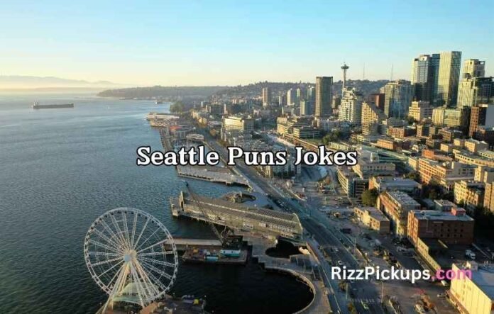 Seattle Puns Jokes Seattle Puns Jokes