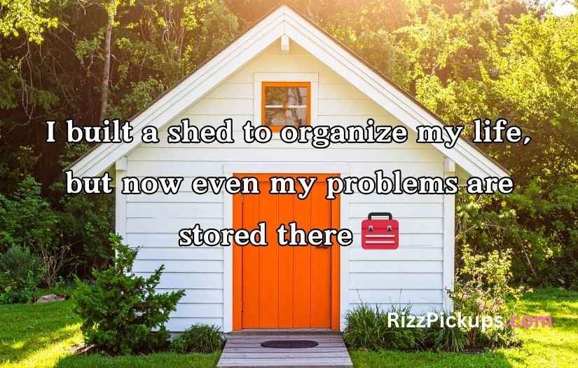 Shed Jokes & Puns