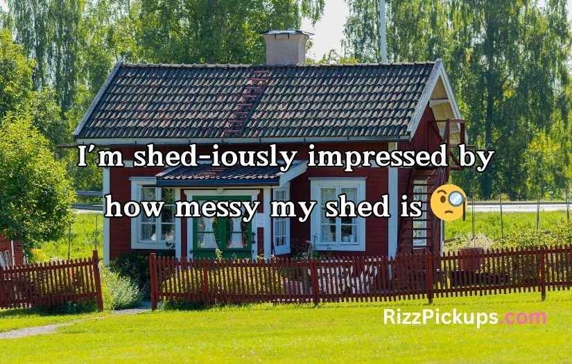 Shed Jokes & Puns