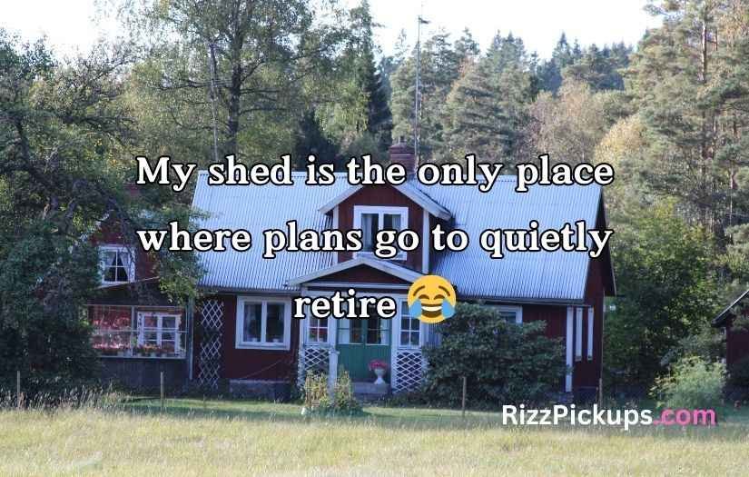 Shed Jokes & Puns