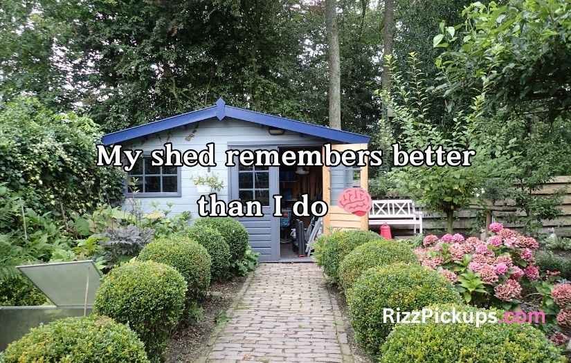 Shed Jokes & Puns
