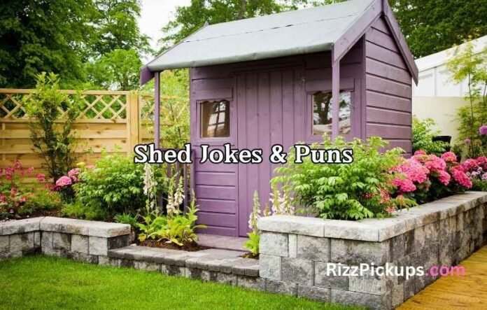 Shed Jokes & Puns