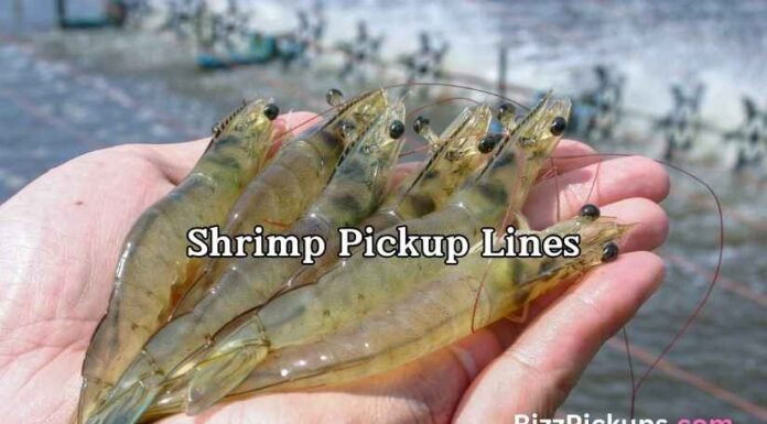Shrimp Pickup Lines Shrimp Pickup Lines
