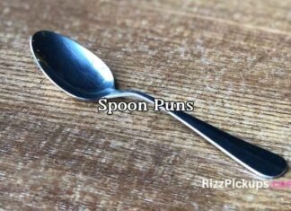 Spoon Puns Spoon Puns