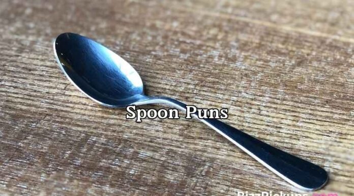 Spoon Puns Spoon Puns