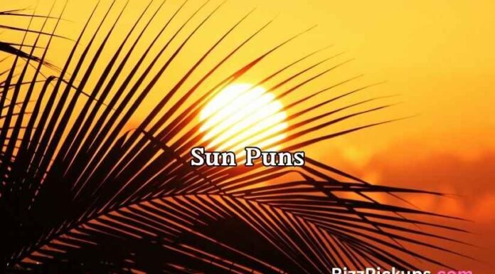 Sun Puns Sun Puns