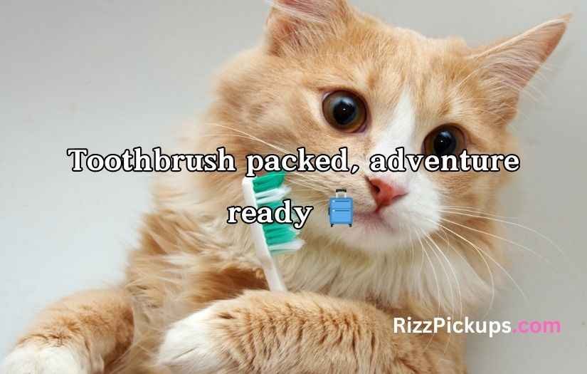 Toothbrush Puns and Jokes