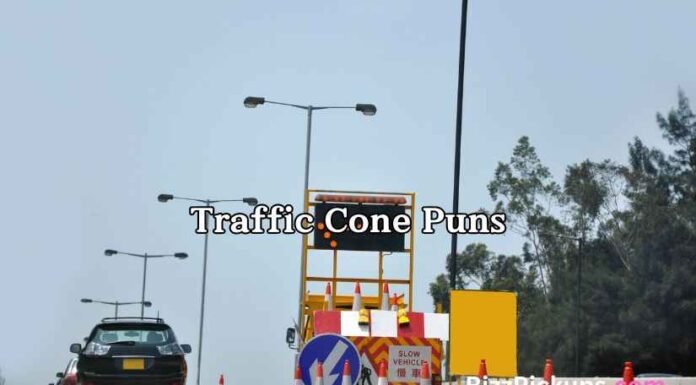 Traffic Cone Puns Traffic Cone Puns