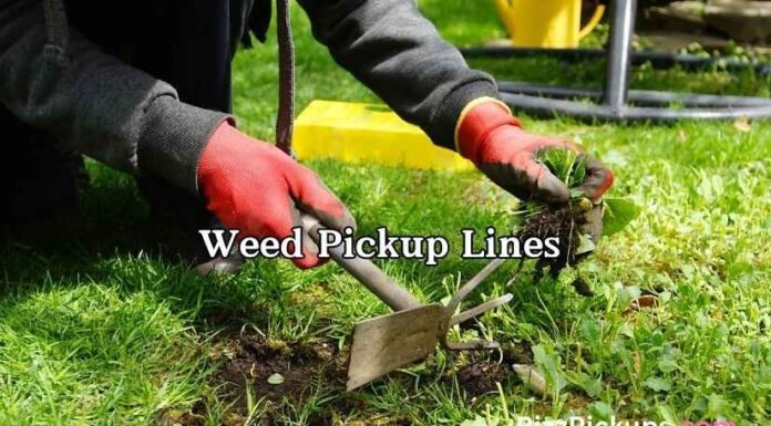Weed Pickup Lines Weed Pickup LinesÂ