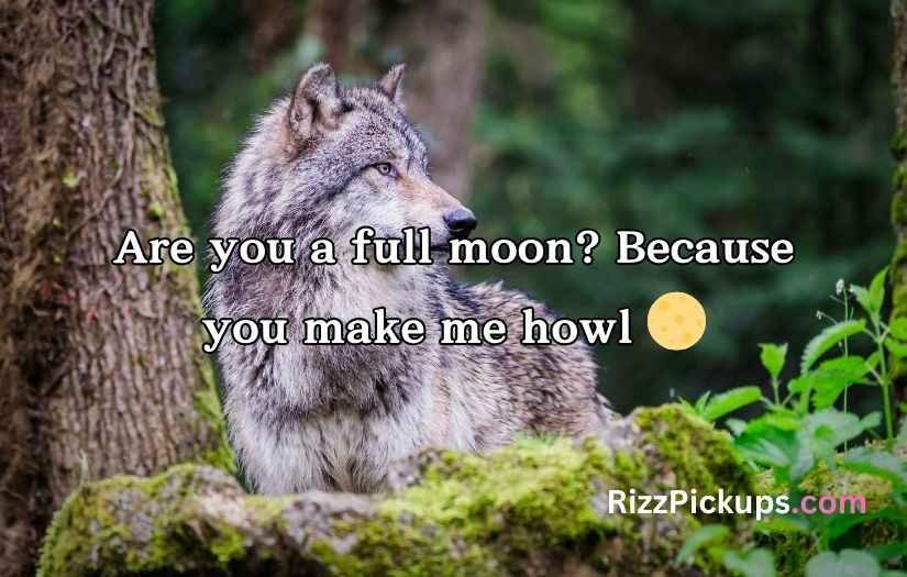 Wolf Pick Up Lines
